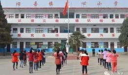 洛阳嵩县爆料事件最新进展,真相逐步浮出水面